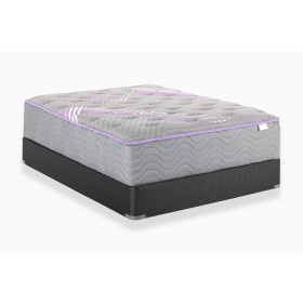 Premier Queen Mattress Set