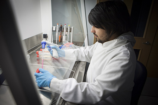 Systems Biology Centre