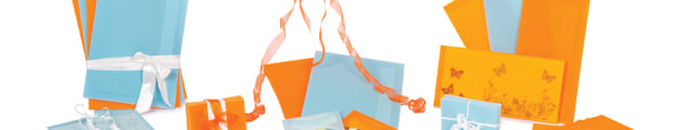 Translucent coloured envelopes, 62 x 98 translucent envelopes, 125 x 125 translucent envelopes, 160 x 160 translucent envelopes, 220 x 220 translucent envelopes, 114 x 162 mm (C6) translucent envelope, 162 x 229 mm (C5) translucent envelopes, 324 x 229 mm (C4) translucent envelopes, 110 x 220 mm (DL) translucent envelopes