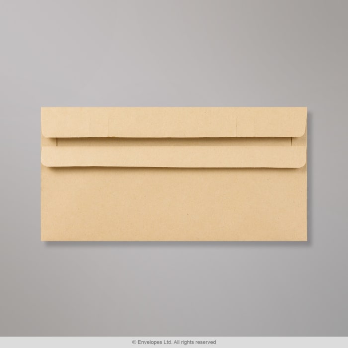 220x110 mm (DL) Manilla Envelope