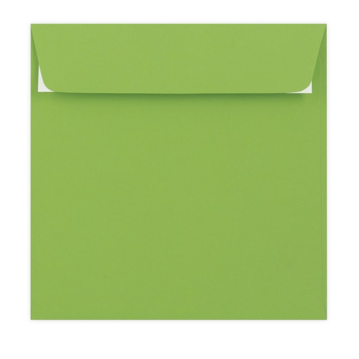 155x155 mm Busta Gamma Clariana Verde Medio