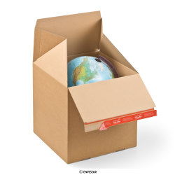 Cardboard box with self-sealing closure for shippings