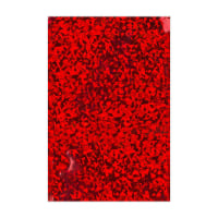 450mm x 320mm rdeča holografska folijska vrečka lupina in tesnilo