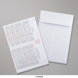 Gusset Envelope White, Manilla, Black and Red printed information - Flysheet