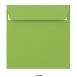 155x155 mm Busta Gamma Clariana Verde Medio