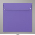 155x155 mm Clariana Purple Envelope 
