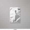 162x114mm (C6) Silver Foliep&aring;sar