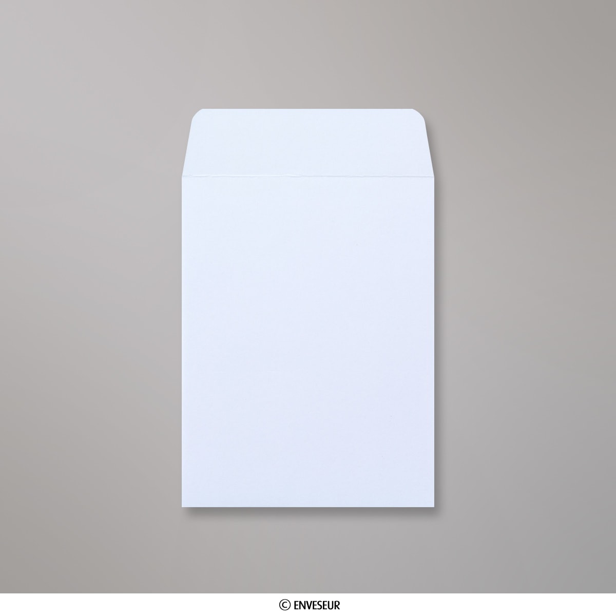 Ganascia Freno Posteriore Brembo S 50 519 - Ricambio Auto Originale