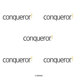C4 (229 x 324) Envelopes conqueror