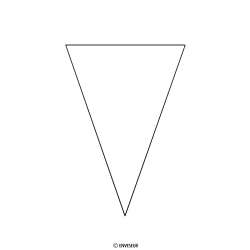 Bolsas Conicas de celo