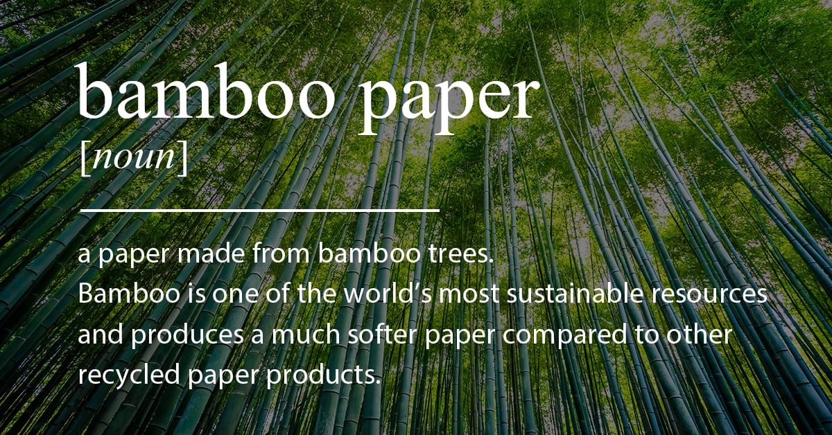 8 Reasons Why Bamboo Makes Great Paper