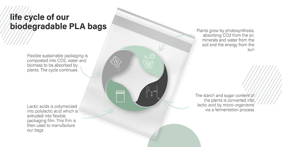 Life cycle of biodegradable bags