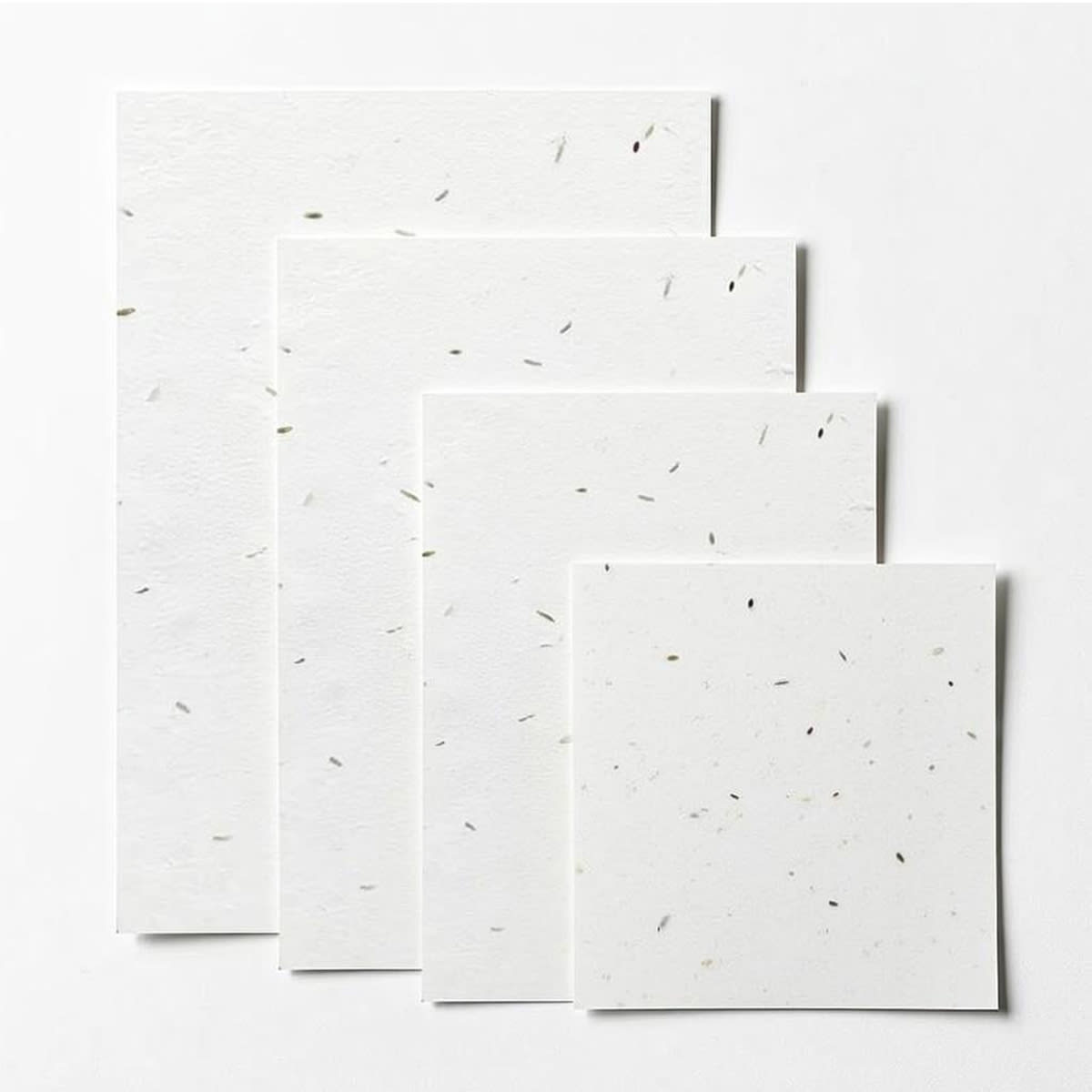 Plantable Seed Cardstock 350gsm