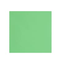 155x155mm CLARIANA PALE GREEN SQUARE 120GSM GUMMED V FLAP