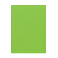 324x229mm CLARIANA MID GREEN 120GSM PEEL AND SEAL POCKET