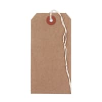 96x48mm Merit Strung Tags