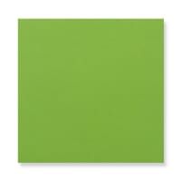 126x126mm GREEN SQUARE P/S PLAIN 110GSM