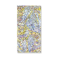 229mm X 114mm Silver Holographic Foil Bag Peel & Seal