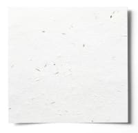 300mm Square White Seed Cardstock 350gsm