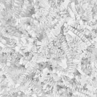 Eco White Shredded Paper 5KG Bag