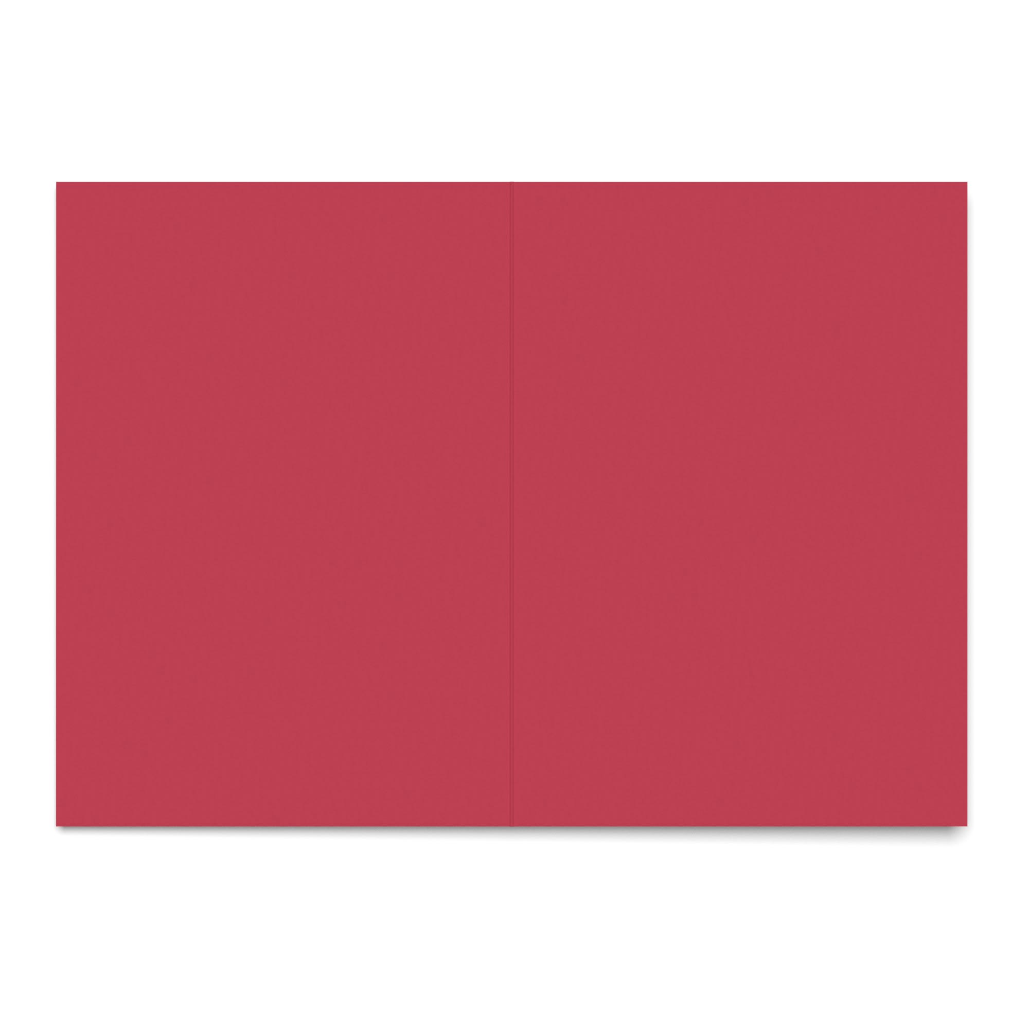 A5 (297 mm x 210 mm) Carte bianche rosso vivo 300 g/m²
