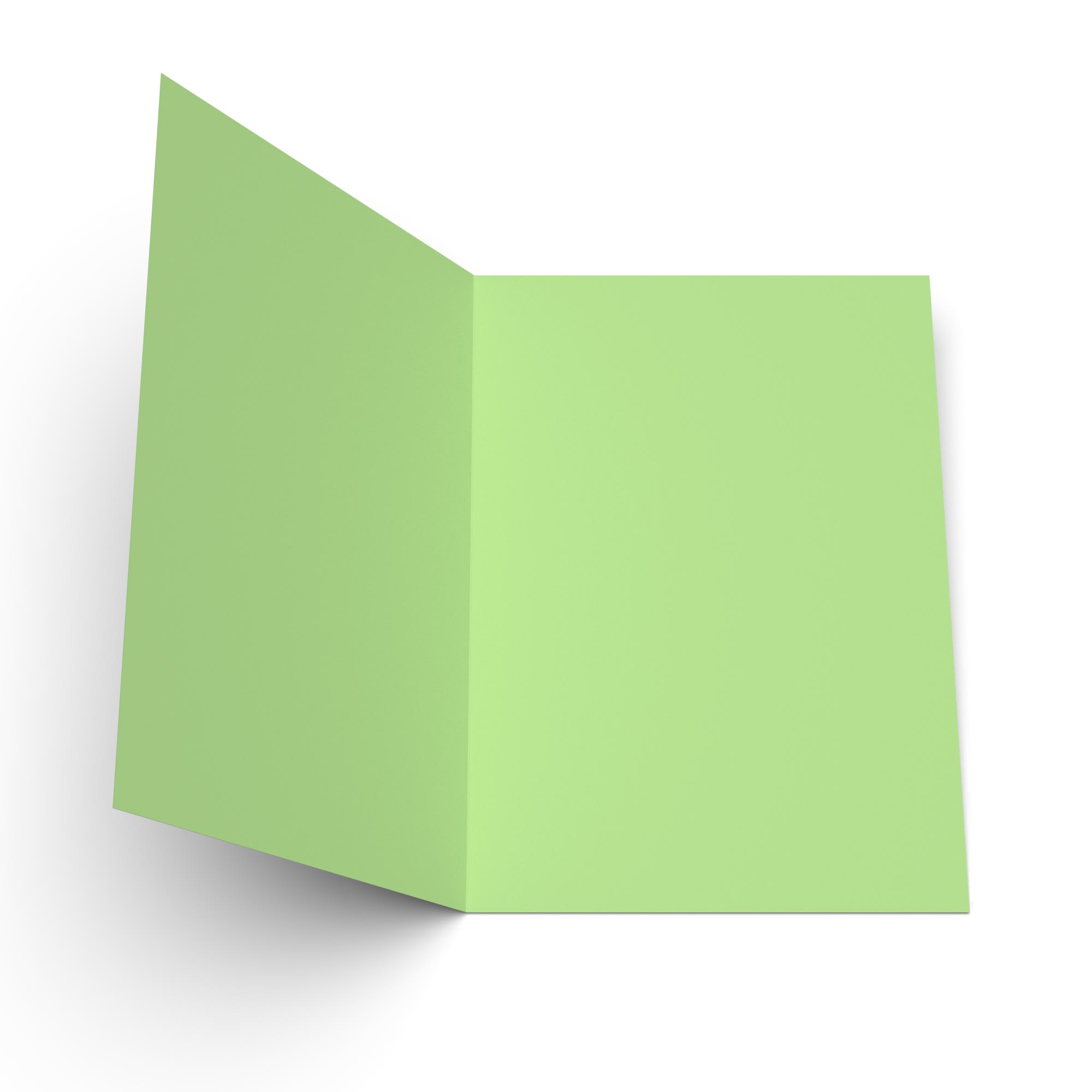 A5 (297 mm x 210 mm) Verde pallido Carte grezze 300 g/m²