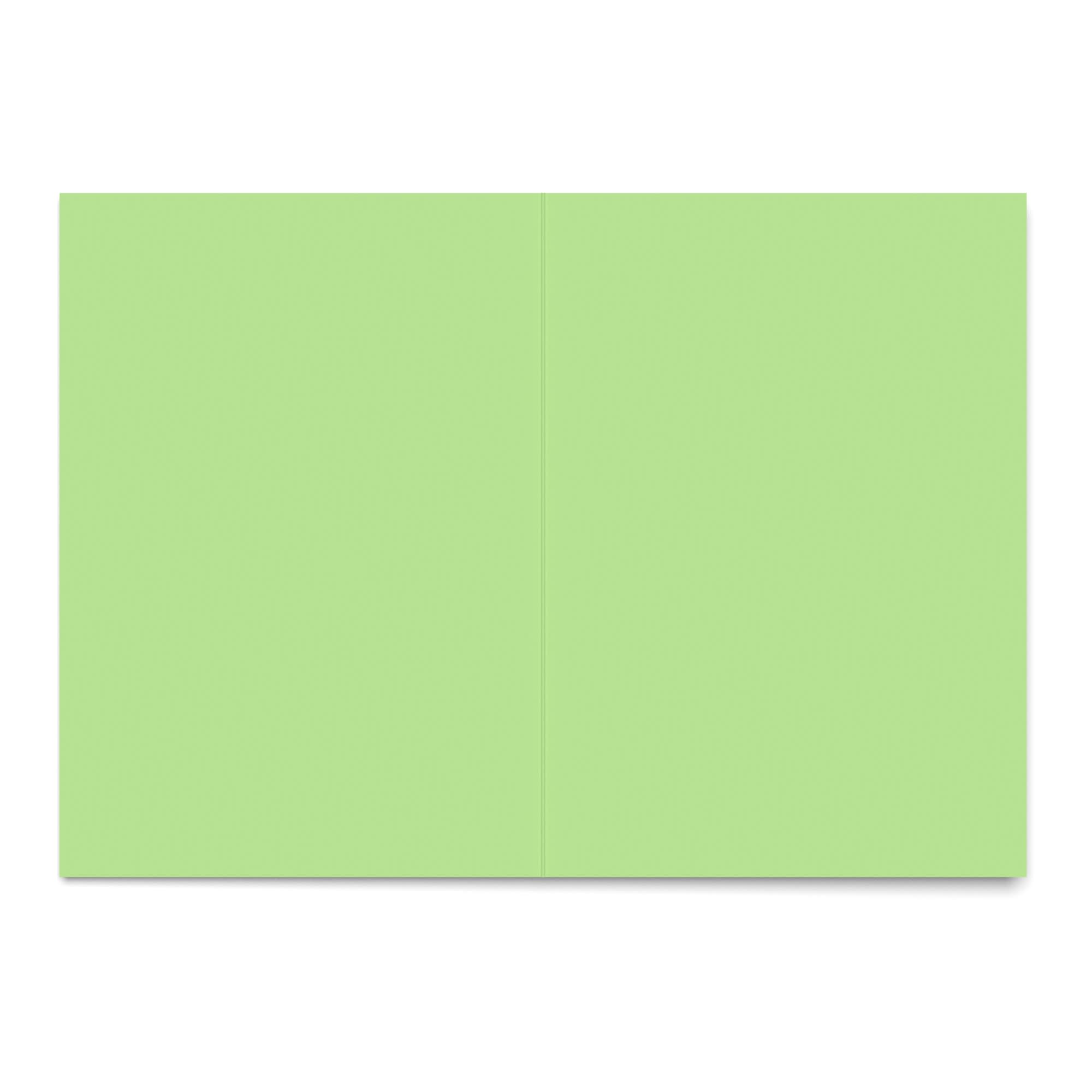 A5 (297 mm x 210 mm) Verde pallido Carte grezze 300 g/m²