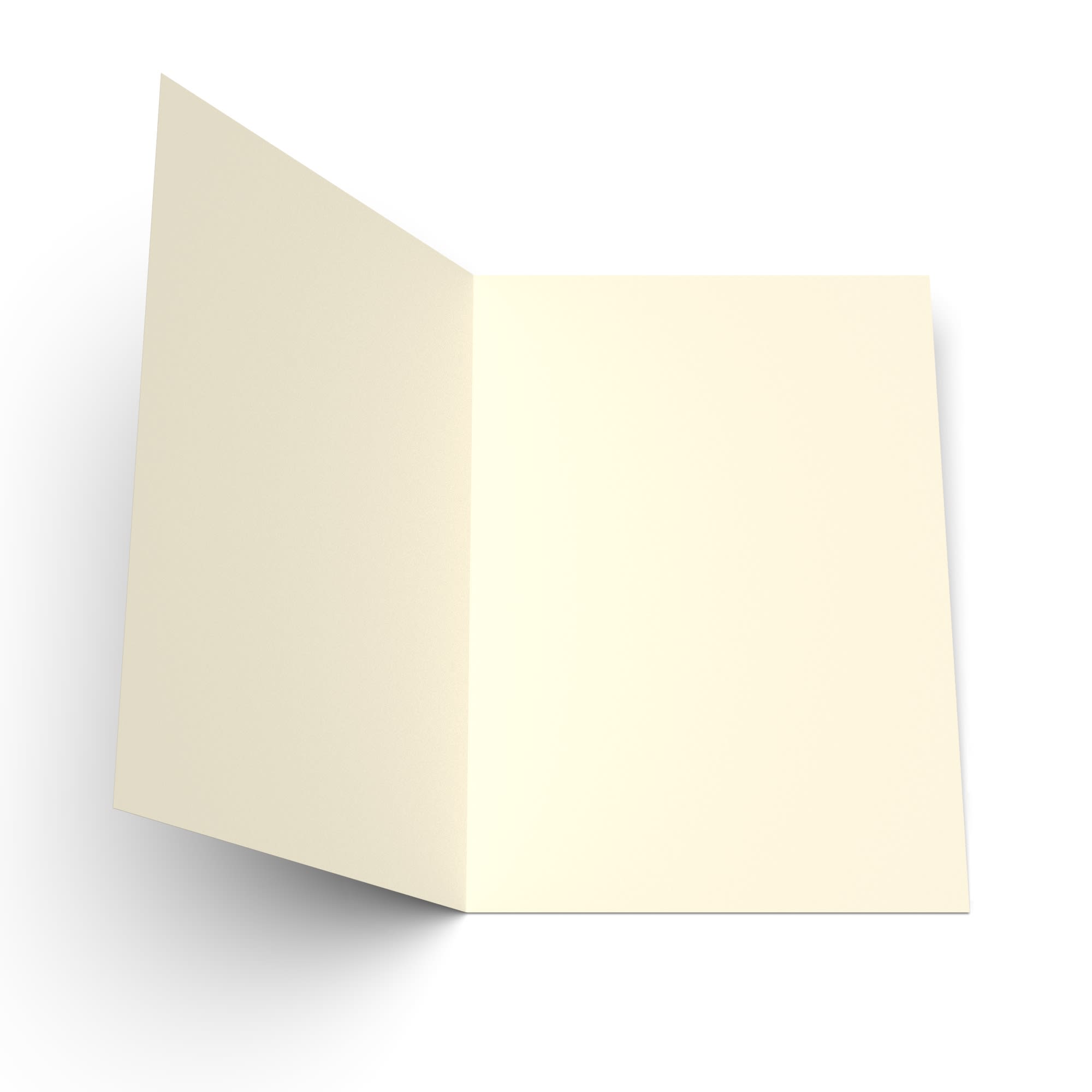 A5 (297 mm x 210 mm) Cartoncini in avorio liscio 300 g/m²