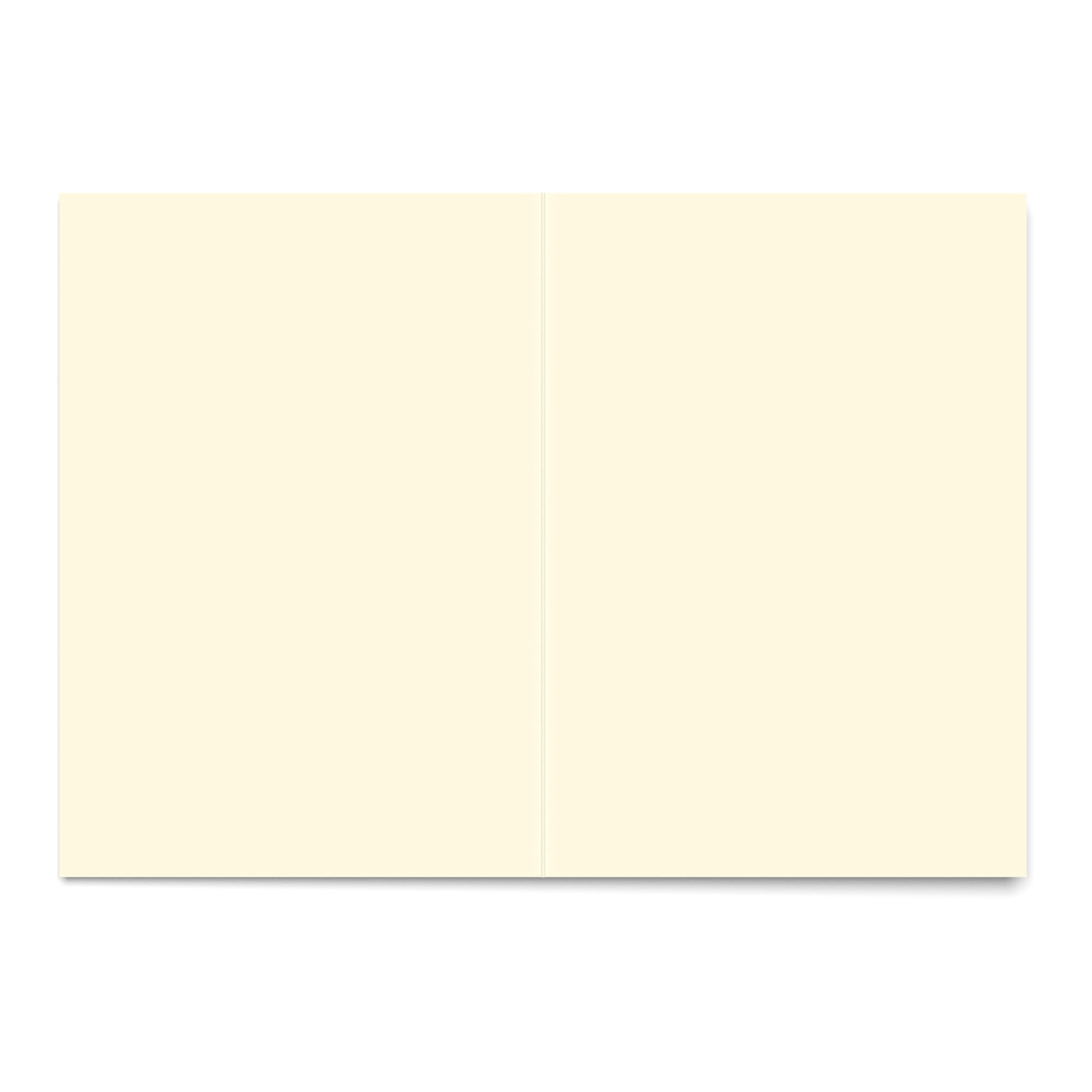 A5 (297 mm x 210 mm) Cartoncini in avorio liscio 300 g/m²