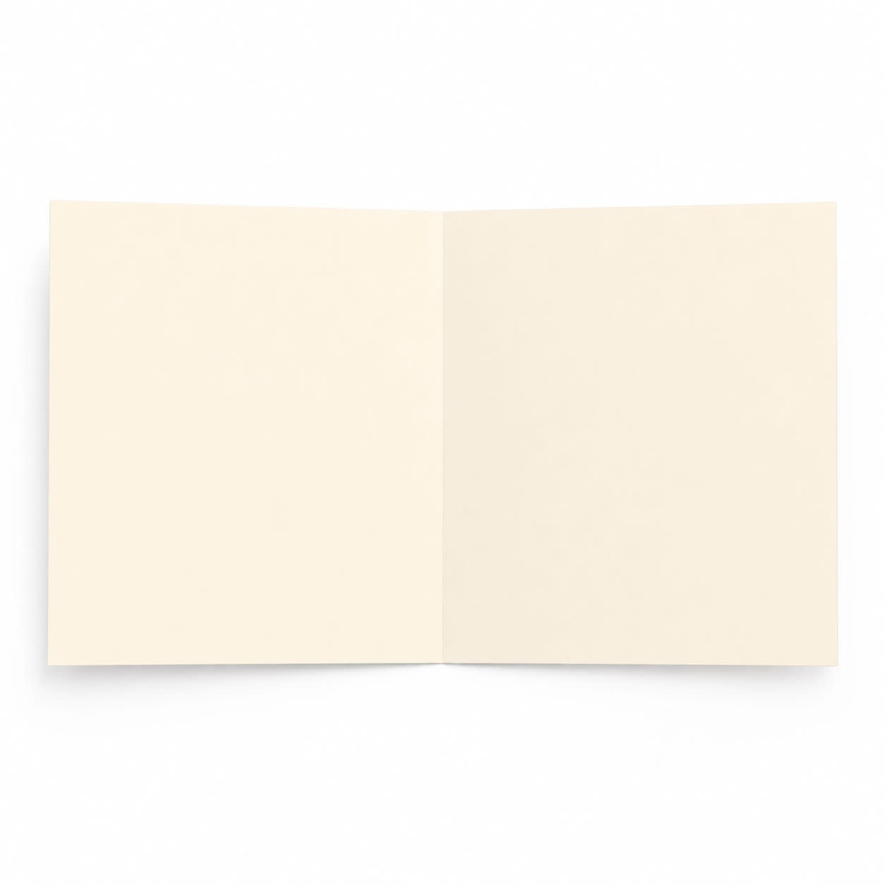 Ivory Paper Insert for 150mm Square Cards 120gsm