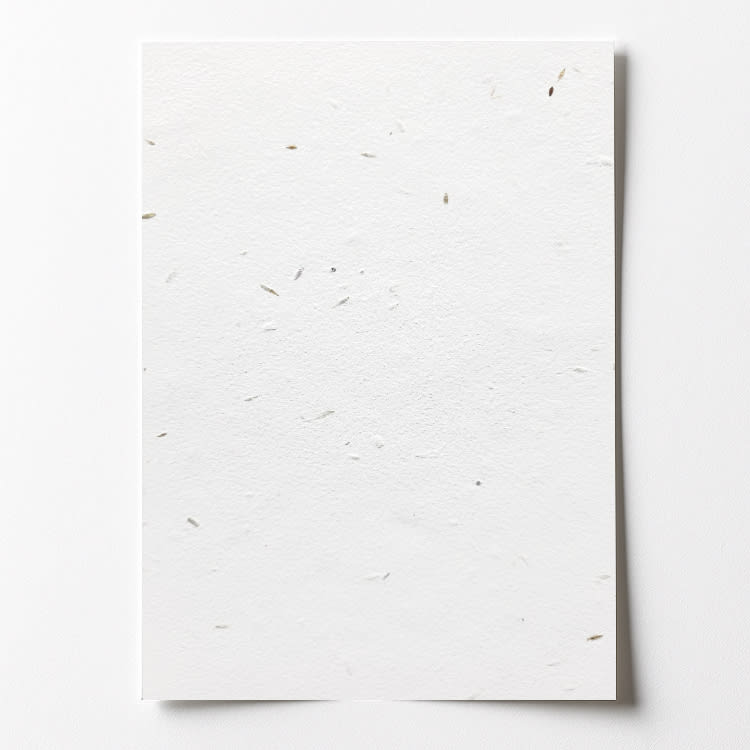 A6 White Seed Cardstock 350gsm