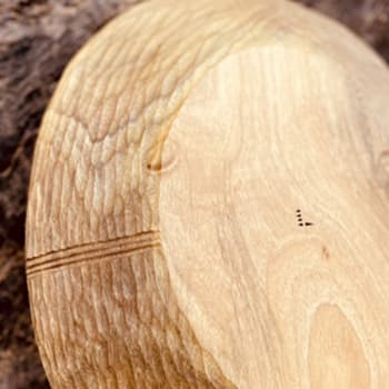 CIRCLE 黃金楠木盤, 2021 - Lafin Sawmah CIRCLE 黃金楠木盤, 2021 - Lafin Sawmah