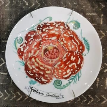 Rafflesia Mania