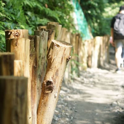 特別不等於有用