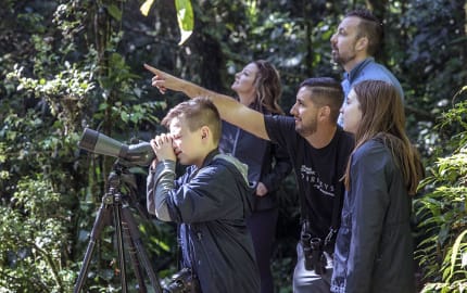 Channel your inner Tarzan and soar through the rainforest jungle, open yourself to the symphony of nature, an unique family experience