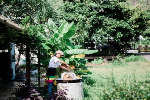 Stories behind sticky rice winery, respect and celebrate Pangcah culture through tribal wine making, sharing pride and enjoyment with the world