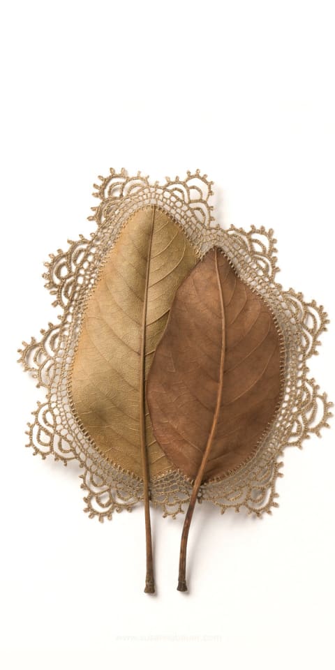 縫補穿透人性脆弱與韌性平衡的絲線 Delicate threads of dry leaves and wood form crochet sculpture