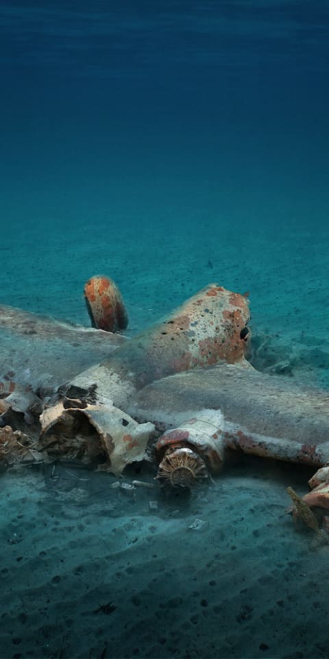 Explore and experience underwater archeological sites undeterred by the physical barrier of the sea