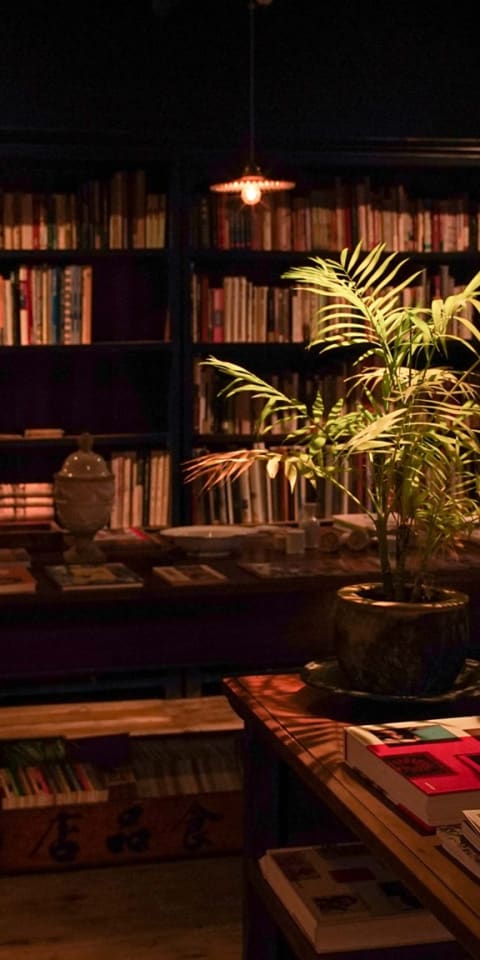 Time travel into last century, old parchment and books, humidity and dim lights accent the nostalgic independent book store