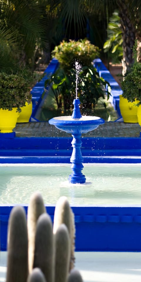 The Jardin Majorelle, oasis in the heart of Marrakech