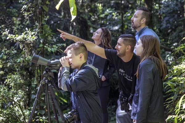 Channel your inner Tarzan and soar through the rainforest jungle, open yourself to the symphony of nature, an unique family experience