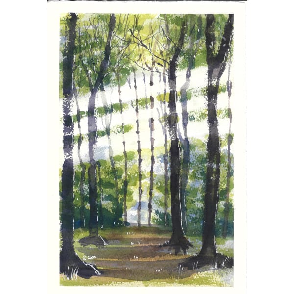 《樹林間的光，台灣》 - Yvonne Chang 張瑜容