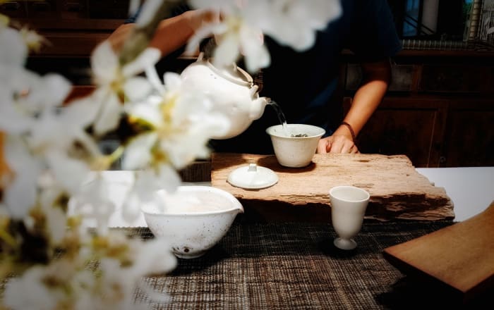 秘境山林中的發現•山茶 Hidden in the mountain, the celebrated Camellia tea is discovered and treasured.  Liugui, Kaohsiung