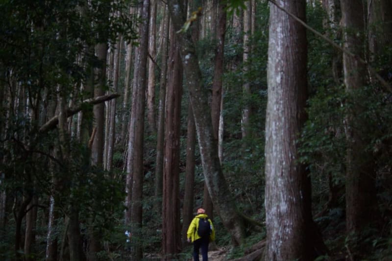 我將再次奔赴群山