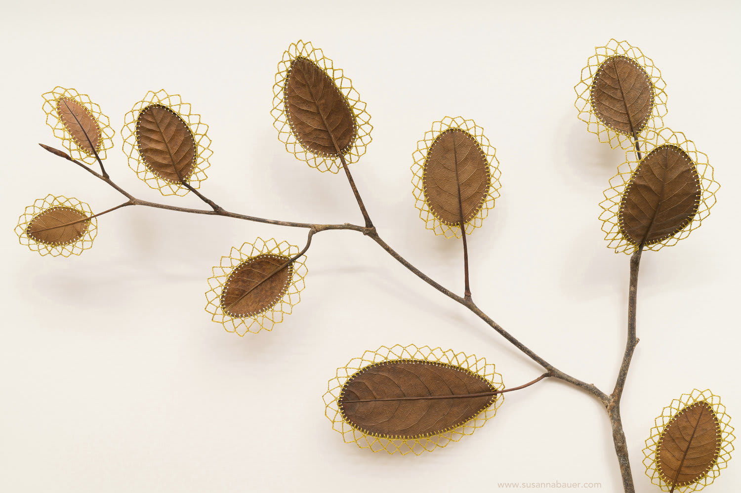 "Awakenings" magnolia leaves, cotton thread, wood