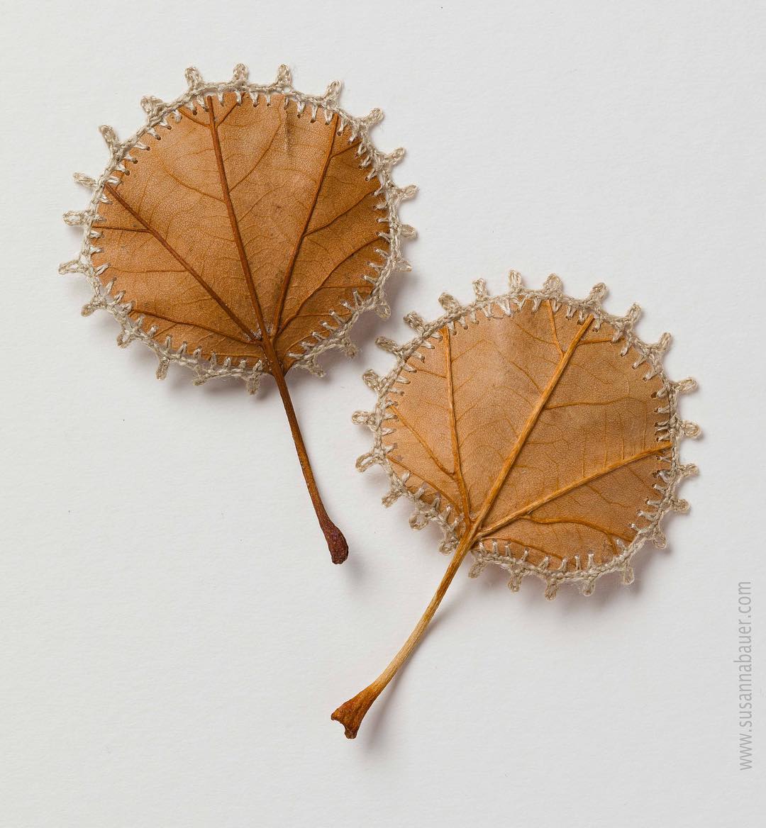 縫補穿透人性脆弱與韌性平衡的絲線 Delicate threads of dry leaves and wood form crochet sculpture(圖7)