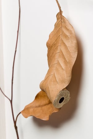 "Connect" magnolia leaves, cotton thread, wood