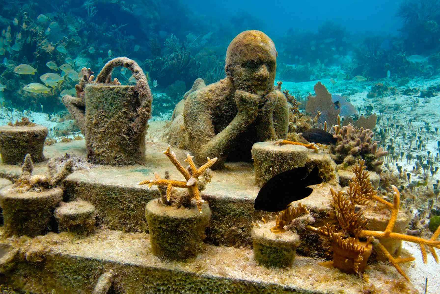 Biggest underwater museum of coral reef based sculptures, brings together art and conservation of natural reefs towards reducing Global Warming(圖6)