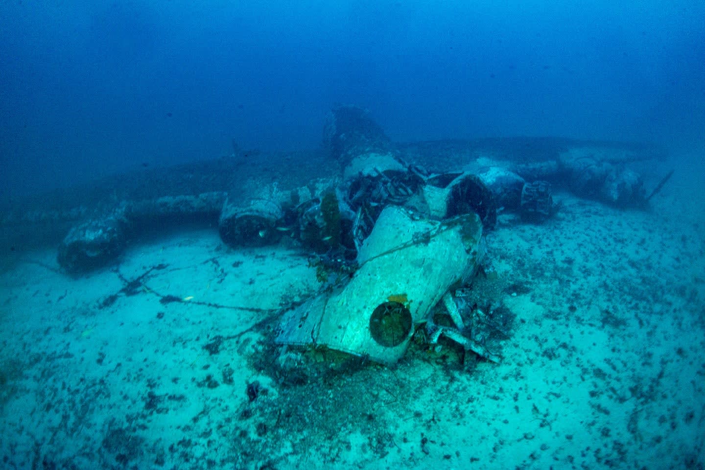 Explore and experience underwater archeological sites undeterred by the physical barrier of the sea(圖5)