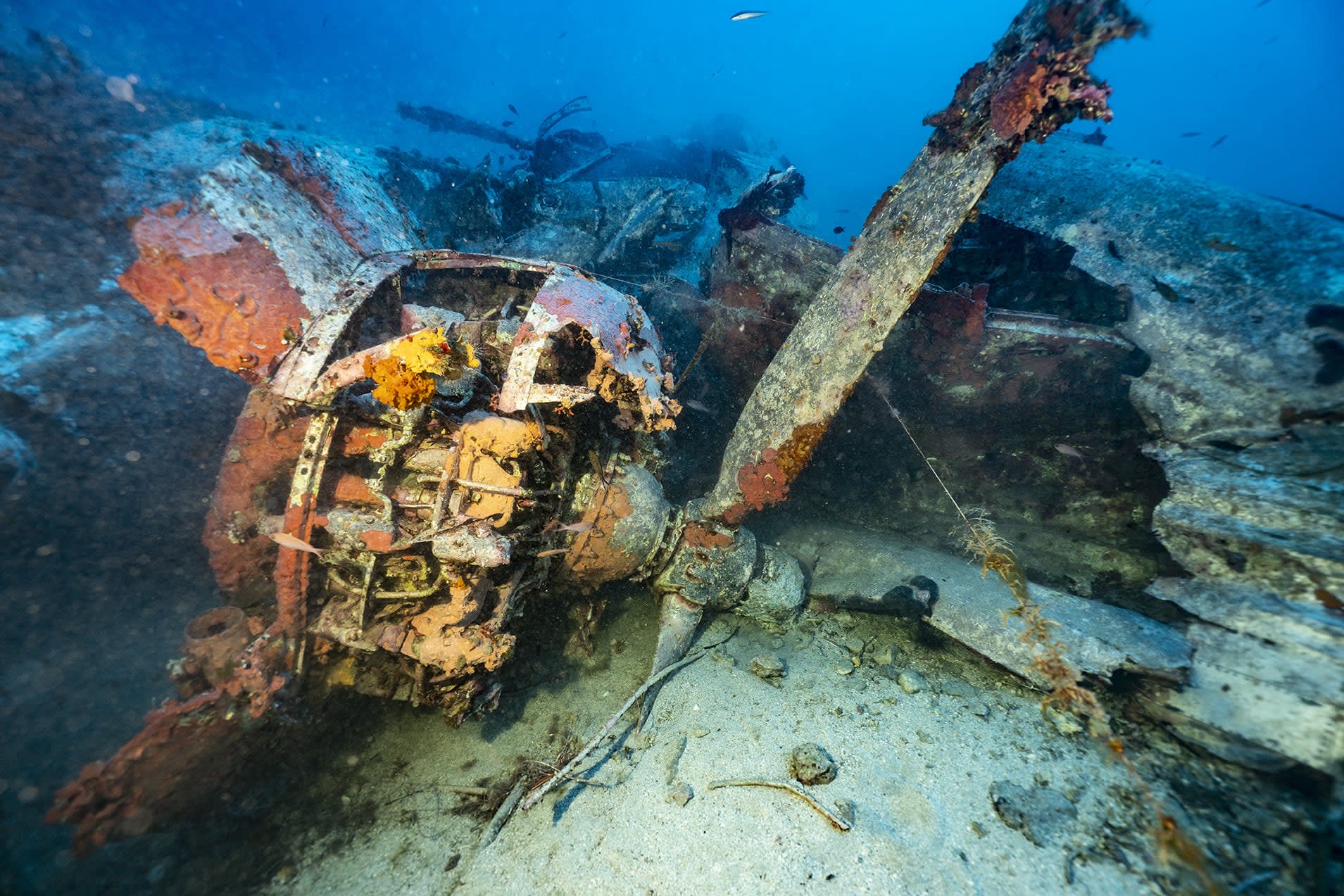 Explore and experience underwater archeological sites undeterred by the physical barrier of the sea(圖8)